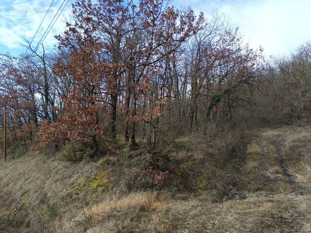 Terrain à GRAULHET