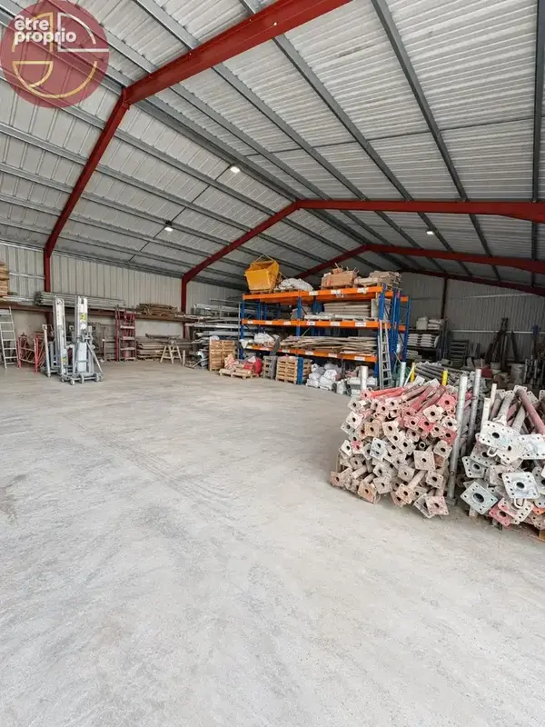 Commerce 450 m² à vendre à Pins-Justaret (31860) - photo 2