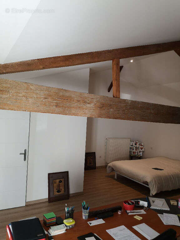 Commerce à LA ROCHELLE