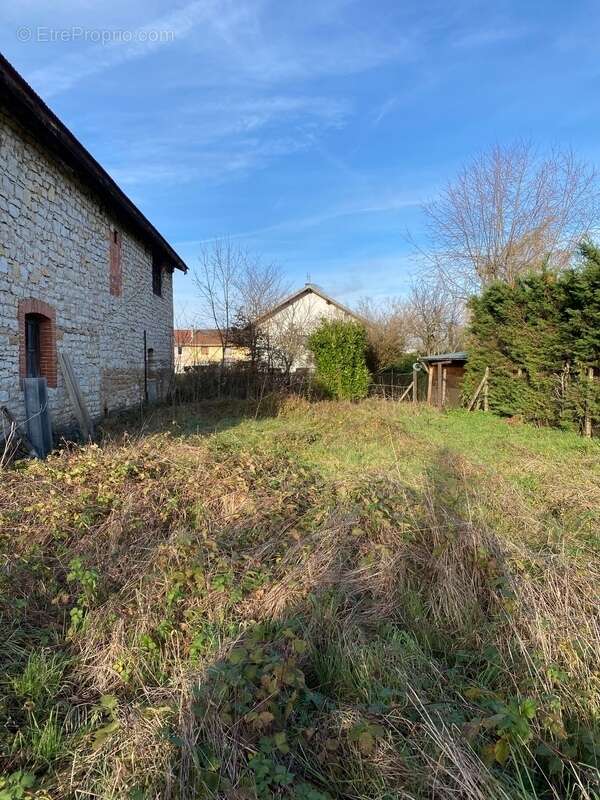 Appartement à NURIEUX-VOLOGNAT