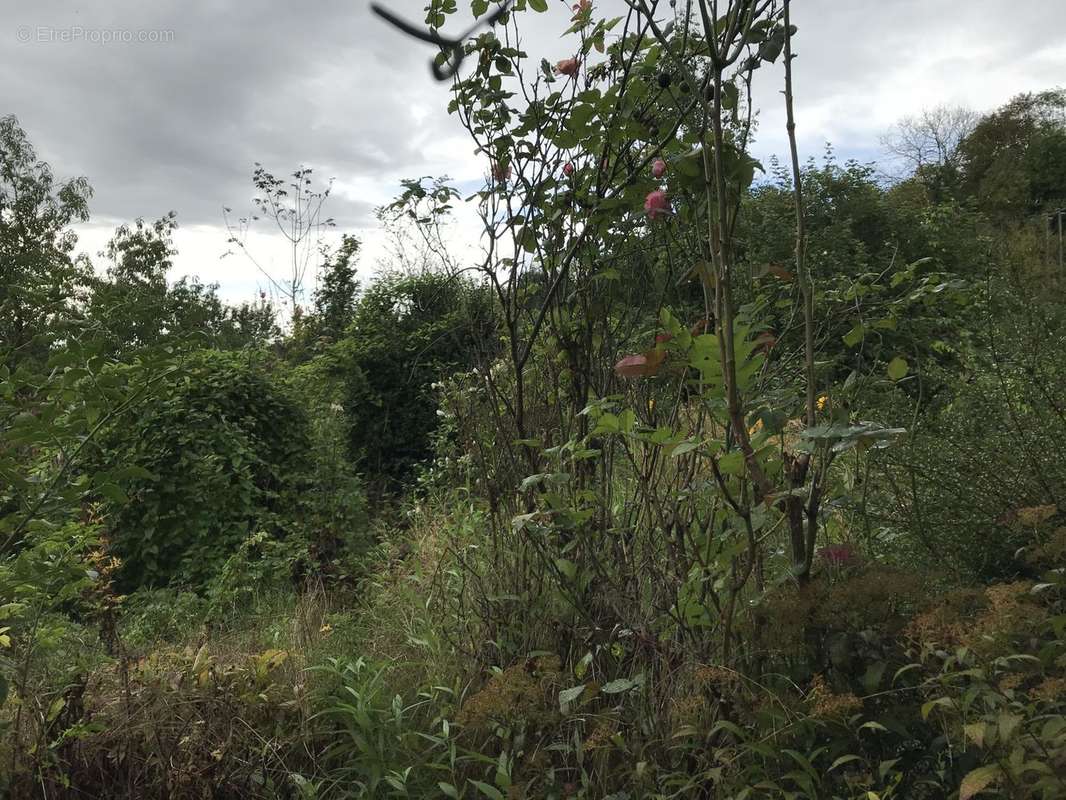 Maison à CUVERVILLE-SUR-YERES