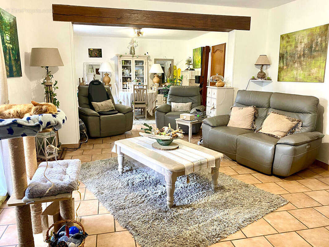 Maison à PRUNIERS-EN-SOLOGNE