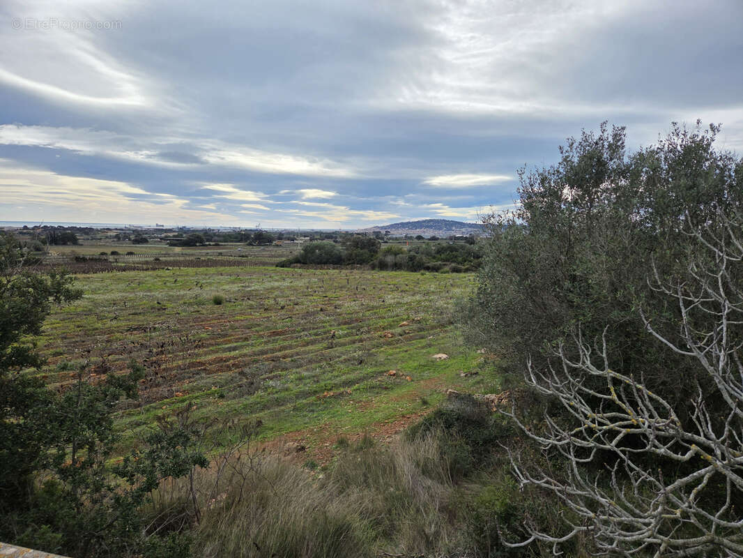 Terrain à FRONTIGNAN
