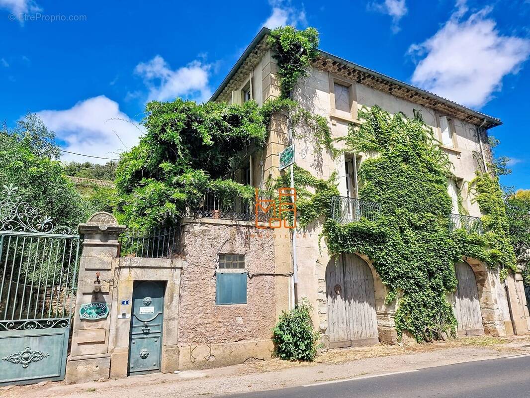 Maison de Maitre, pleine de Charme, avec jardin, cour, dépendances... - photo 1