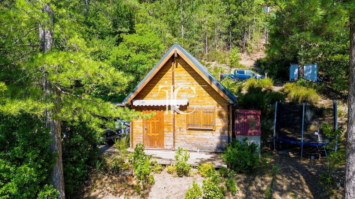 Petit chalet en pleine nature  20 m² habitables  Terrain constructible de 3 846 m² - photo 3