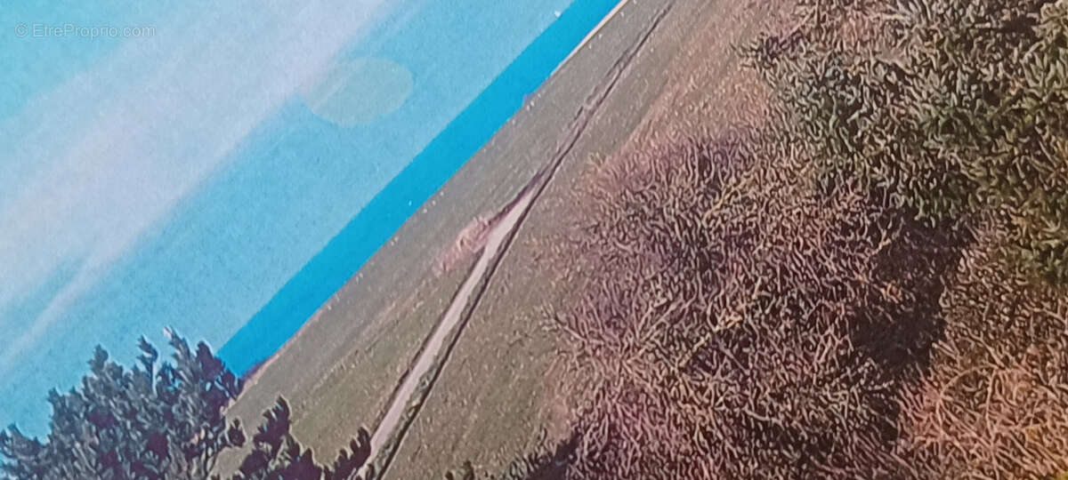 Terrain  1500 m2 - photo 4