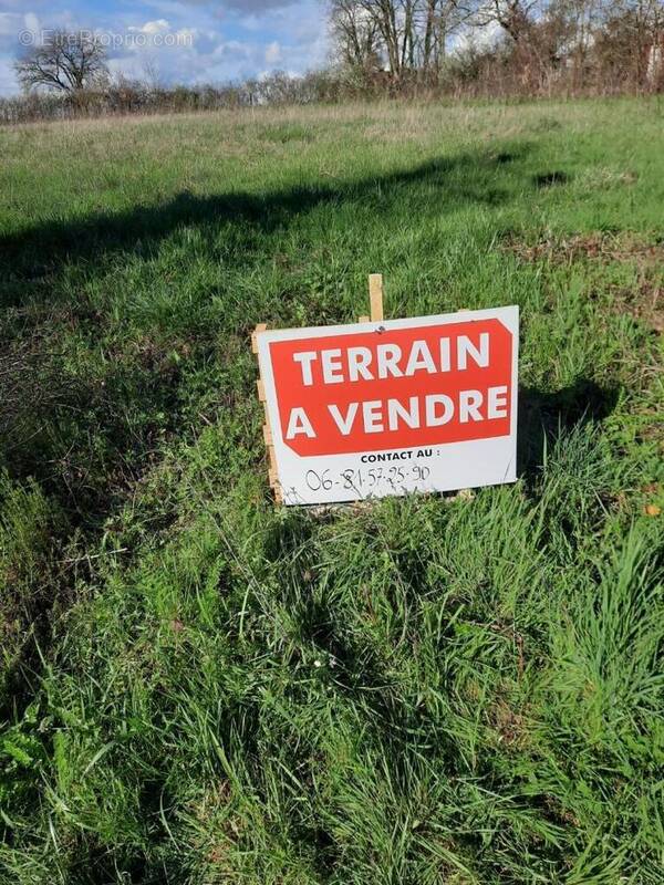 Terrain à LE PECHEREAU