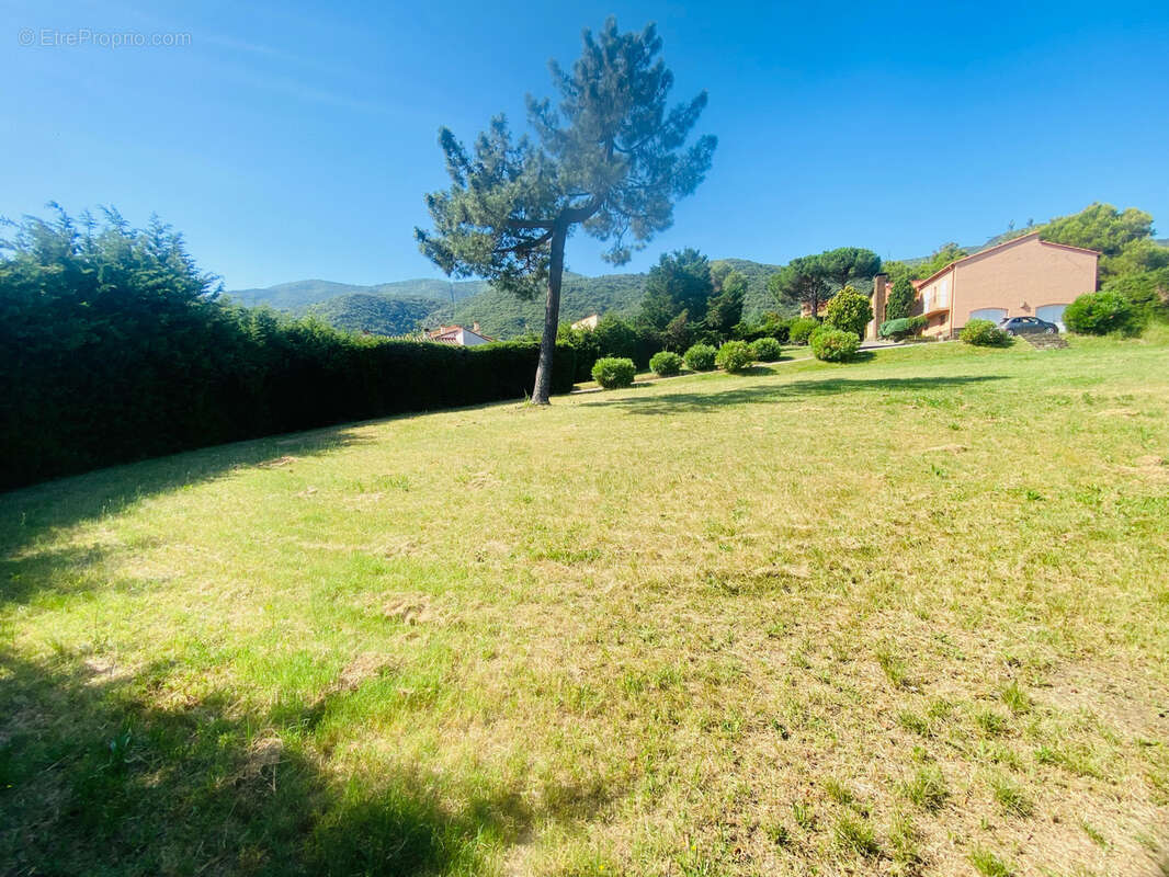 RARE À CÉRET -Fort potentiel-Terrain constructible de 2000 m2 avec certificat d’urbanisme délivré. - photo 5