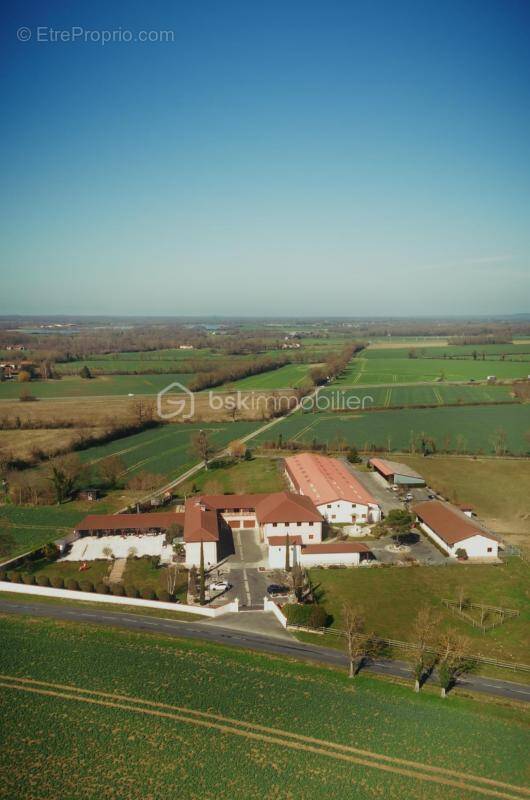 Maison à VILLARS-LES-DOMBES