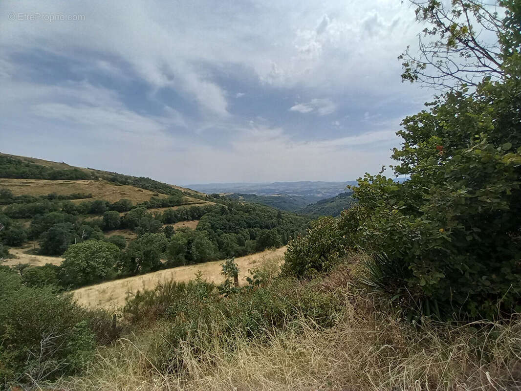 Maison de plain-pied , 103 m² , vue exceptionnelle. Terrain 2 800 m² - photo 14