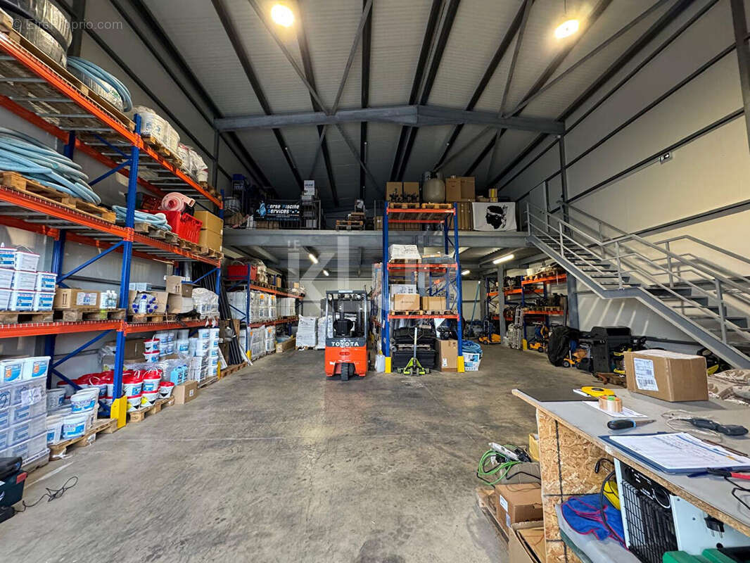 Commerce à LUCCIANA