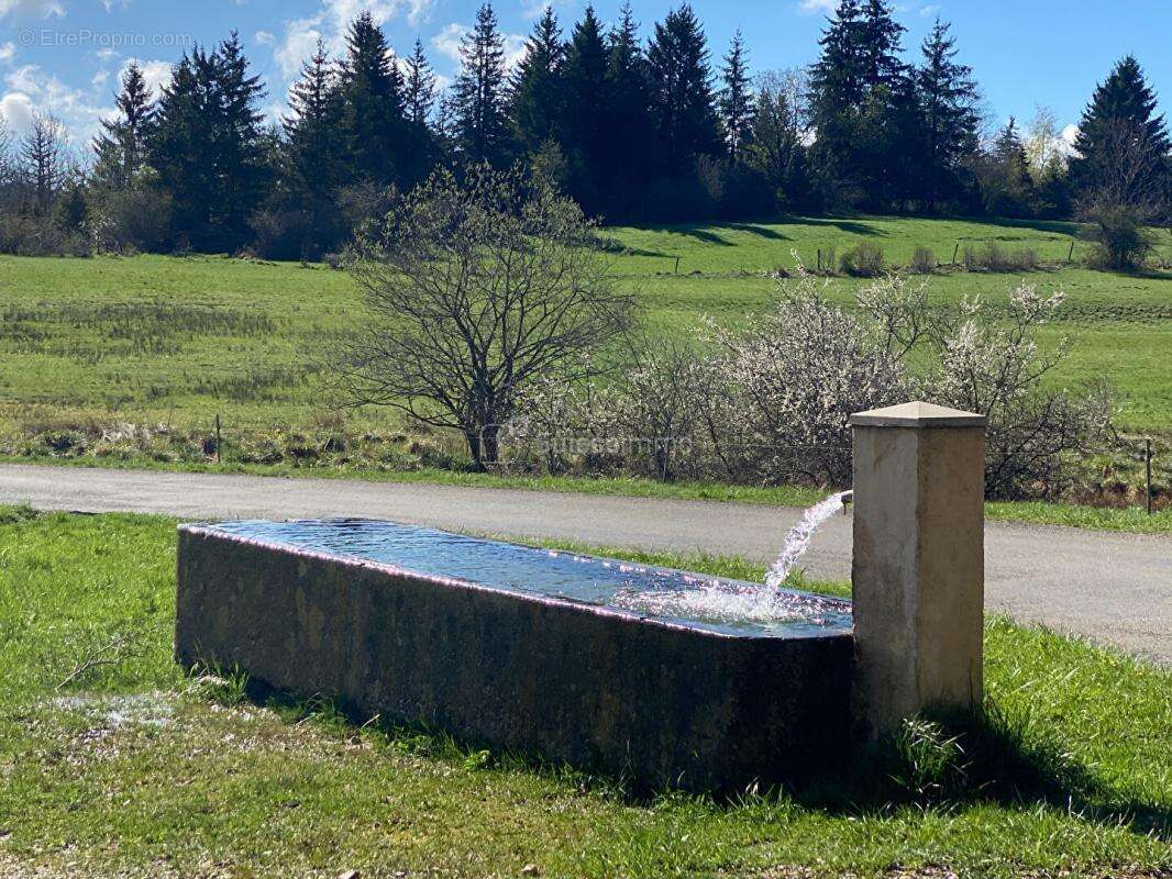 Maison de village de 6 pièce(s) 167 m2 sur terrain d'environ 595 m² - photo 8