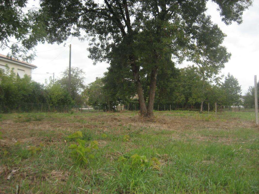 Terrain 1398 m² à Beguey  - photo 4