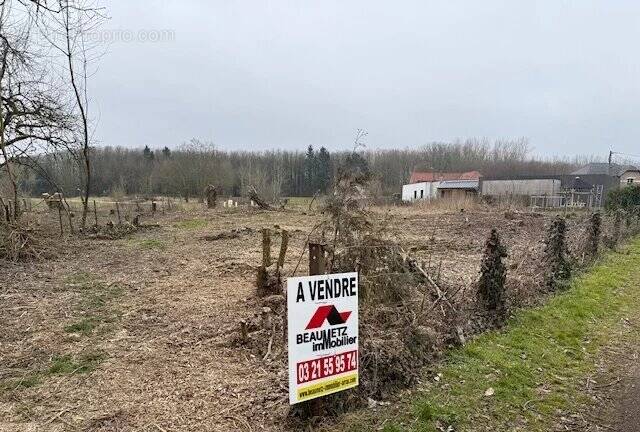 Terrain à WANQUETIN