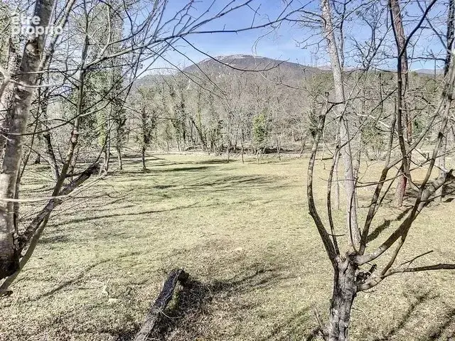 Terrain à ROQUEFORT-LES-PINS