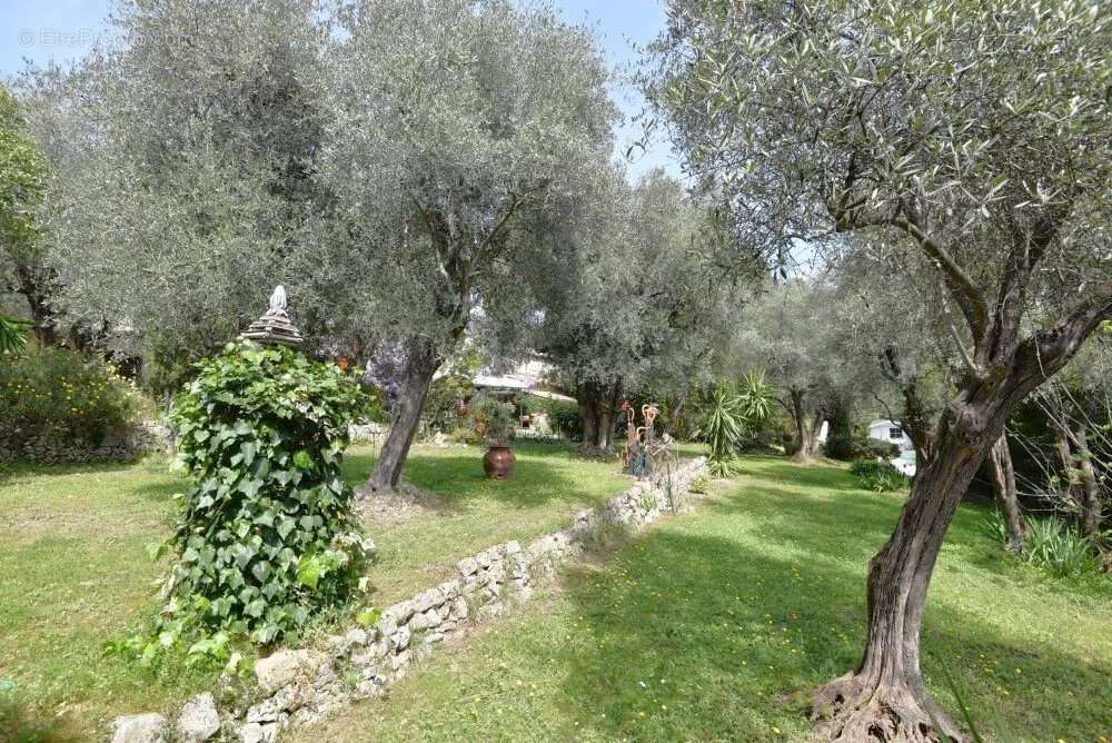 Maison à PEYMEINADE