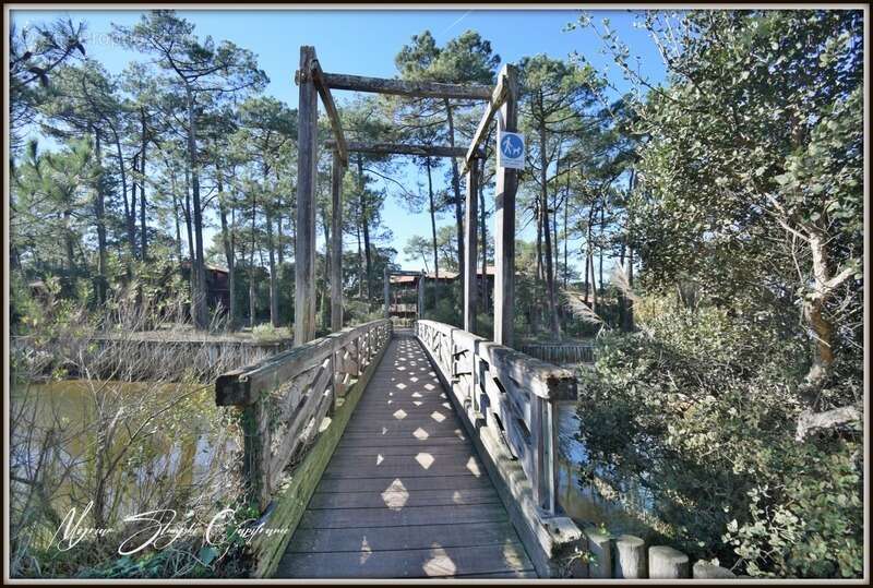 Appartement à SOUSTONS