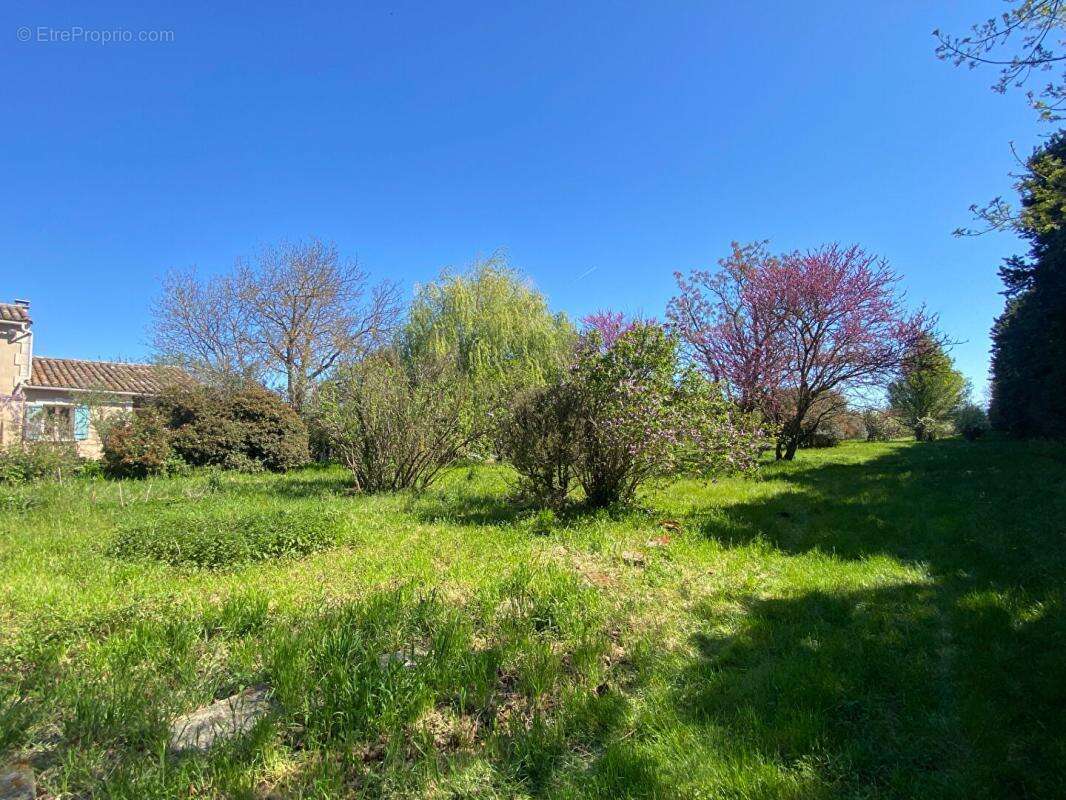 Maison à SAINT-REMY-DE-PROVENCE