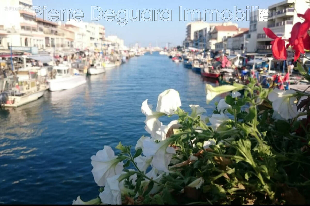 Commerce à PALAVAS-LES-FLOTS