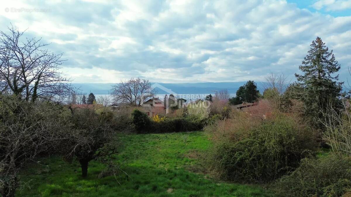 Appartement à ANTHY-SUR-LEMAN