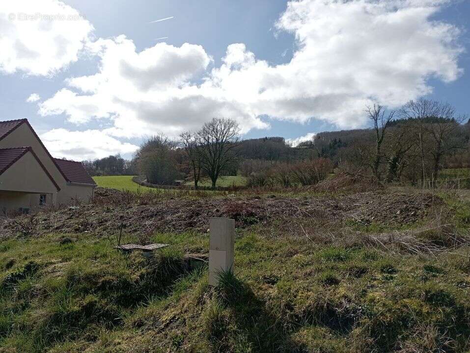 Terrain à FERRIERES-SUR-SICHON