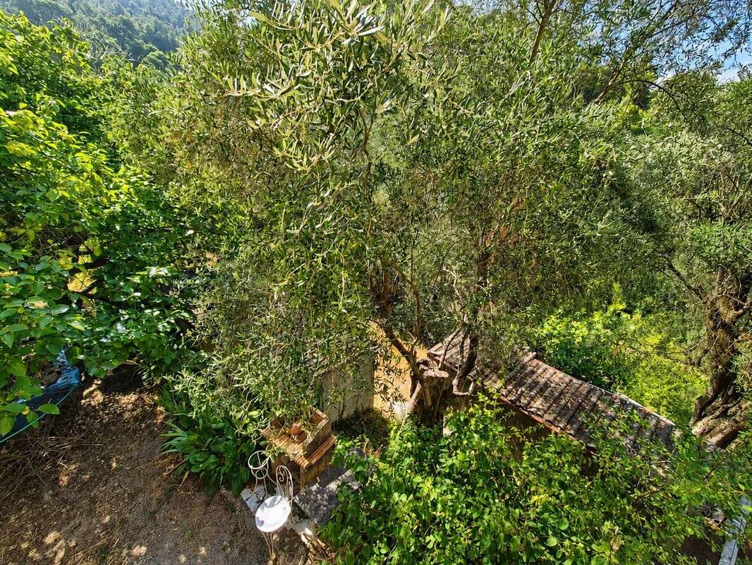 Tourrette-levens – maison à rénover dans un écrin de verdure - photo 18
