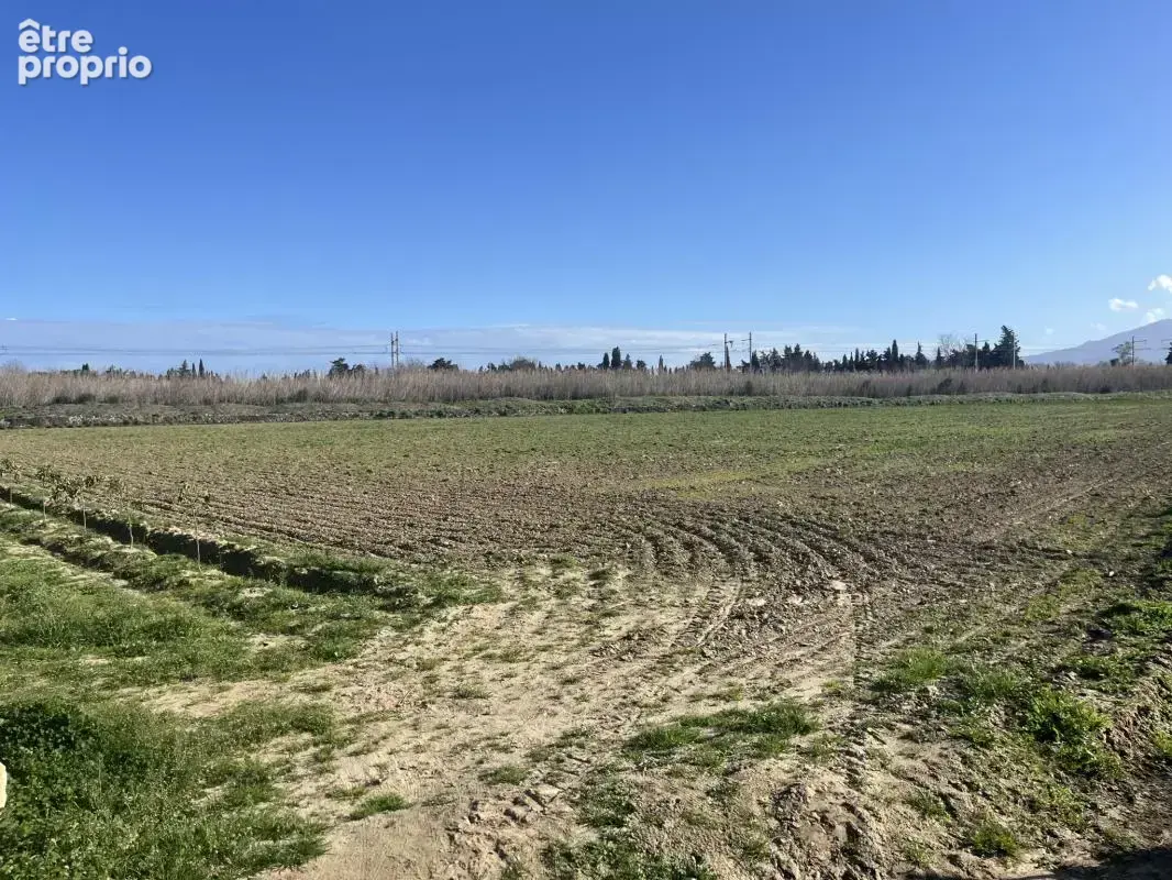 À VENDRE : Terrain Maraîcher à proximité d'Elne - photo 3