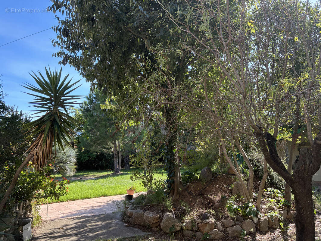 Maison à ARGELES-SUR-MER