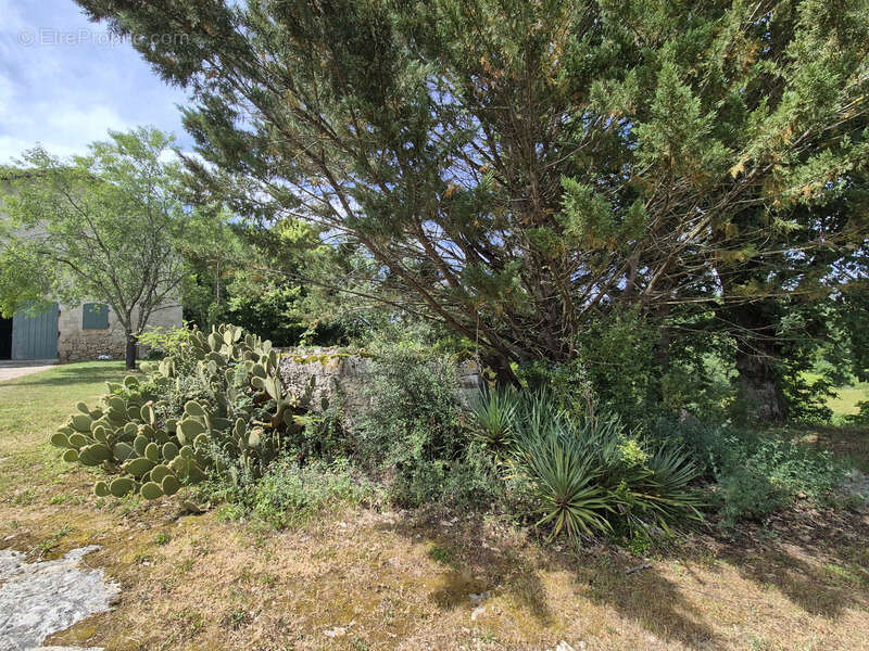 A vendre maison en Pierre - Dépendances – 1 Hectare – 32700 Castéra-Lectourois, Gers - photo 19