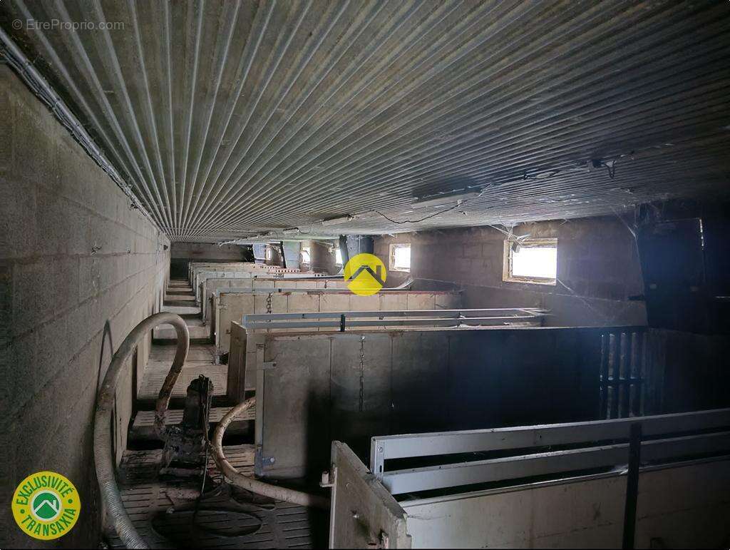 Commerce à LURCY-LEVIS