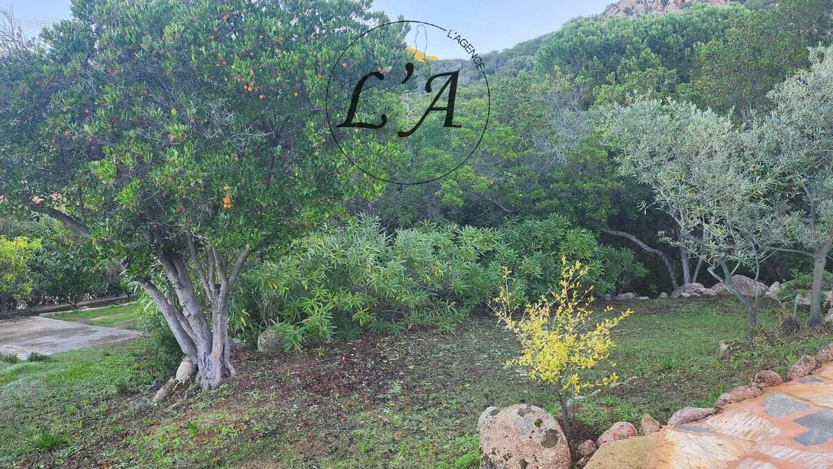 Maison à PIETROSELLA