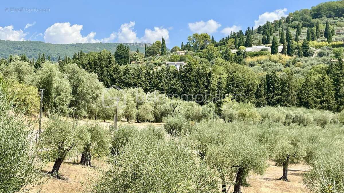 GRASSE - Belle propriété lumineuse avec piscine et vue dégagée au calme dans un cadre naturel - photo 3