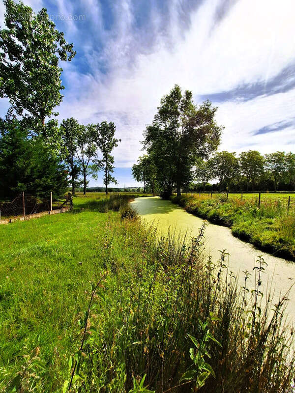 Corps de ferme à aménager avec dépendances et plus de 7 000 m² de terrain  Plaisance-du-Gers - photo 25