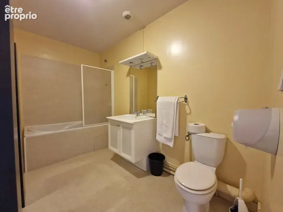 Maison 23 pièces 556 m² à vendre à Sancoins (18600) - photo 7