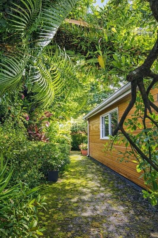 Maison à SAINTE-ROSE