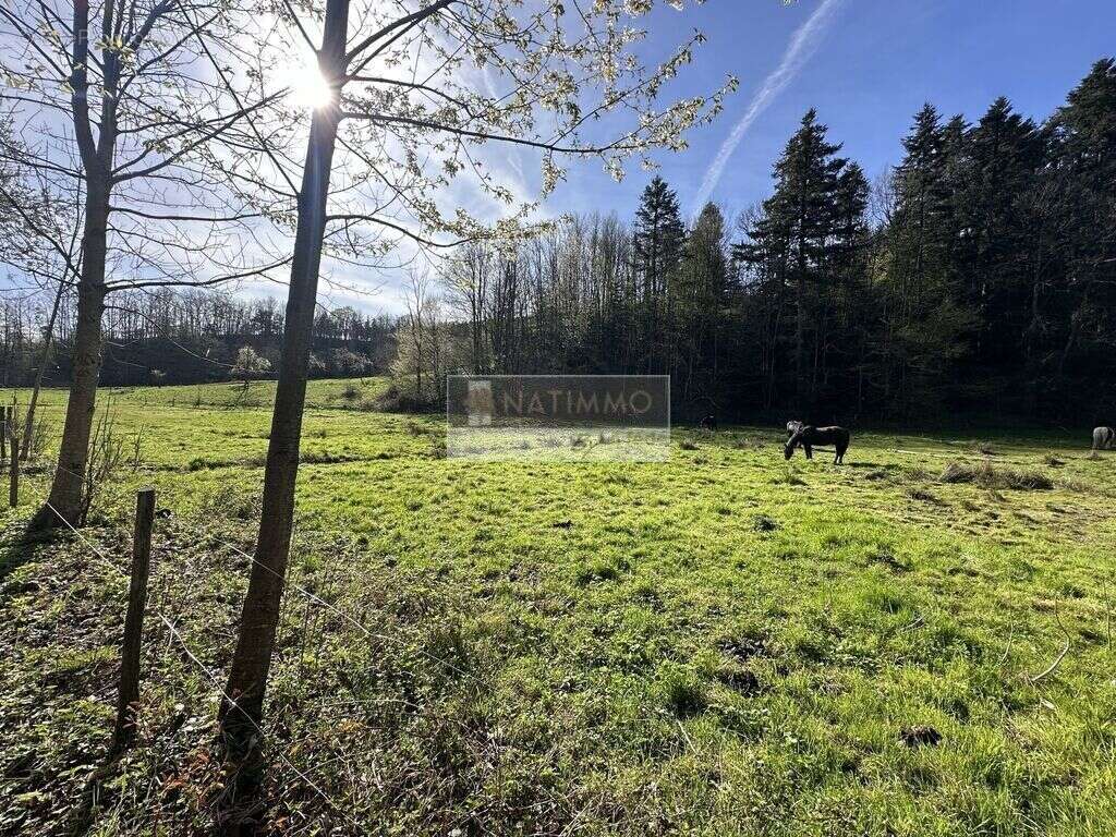 Ensemble immobilier à fort potentiel - photo 4