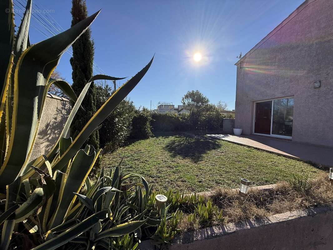 Maison à FRONTIGNAN