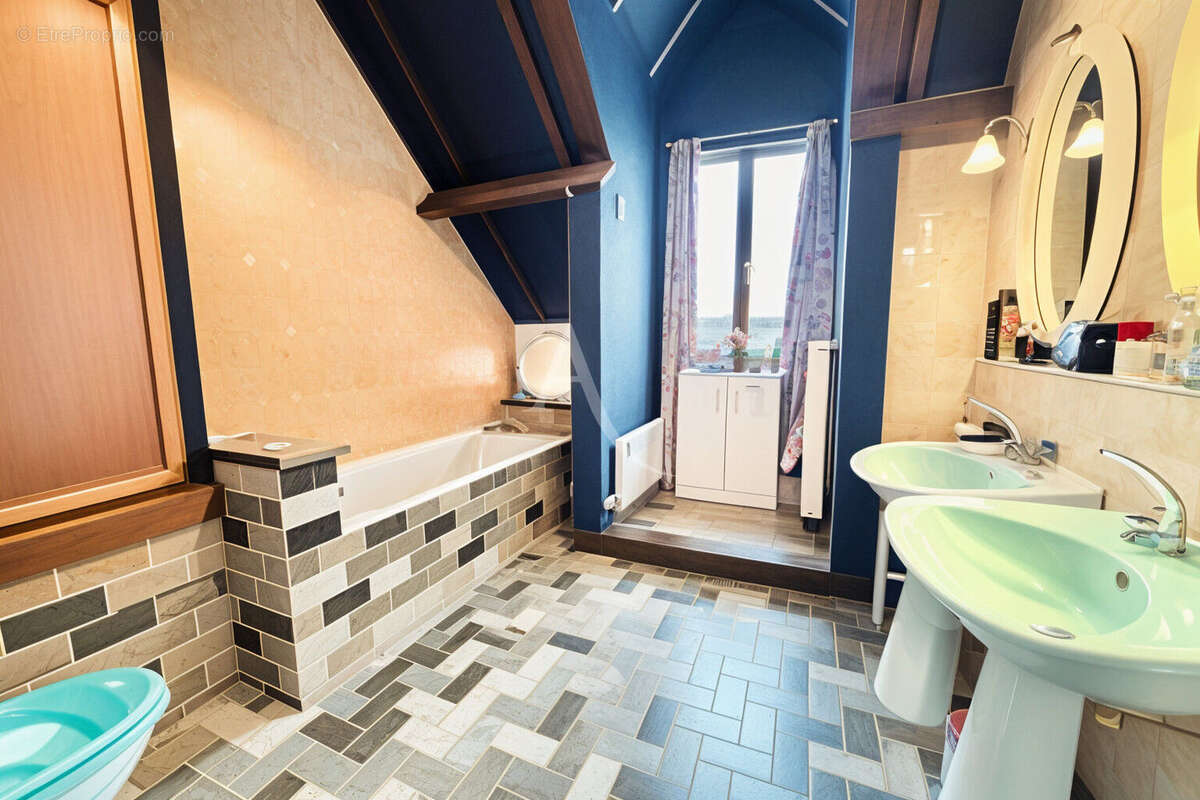 Maison 258 m² à Villeneuve-Saint-Denis  - photo 15