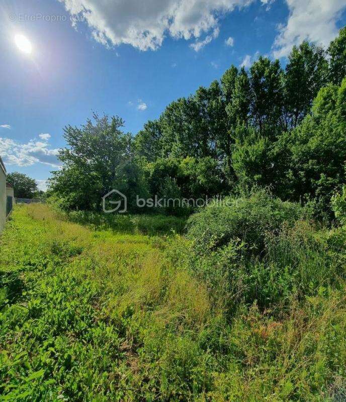 Terrain à NOGENT-SUR-SEINE