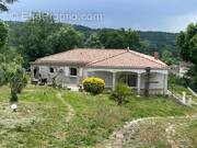 Photo 1 - Maison à ROQUECOURBE