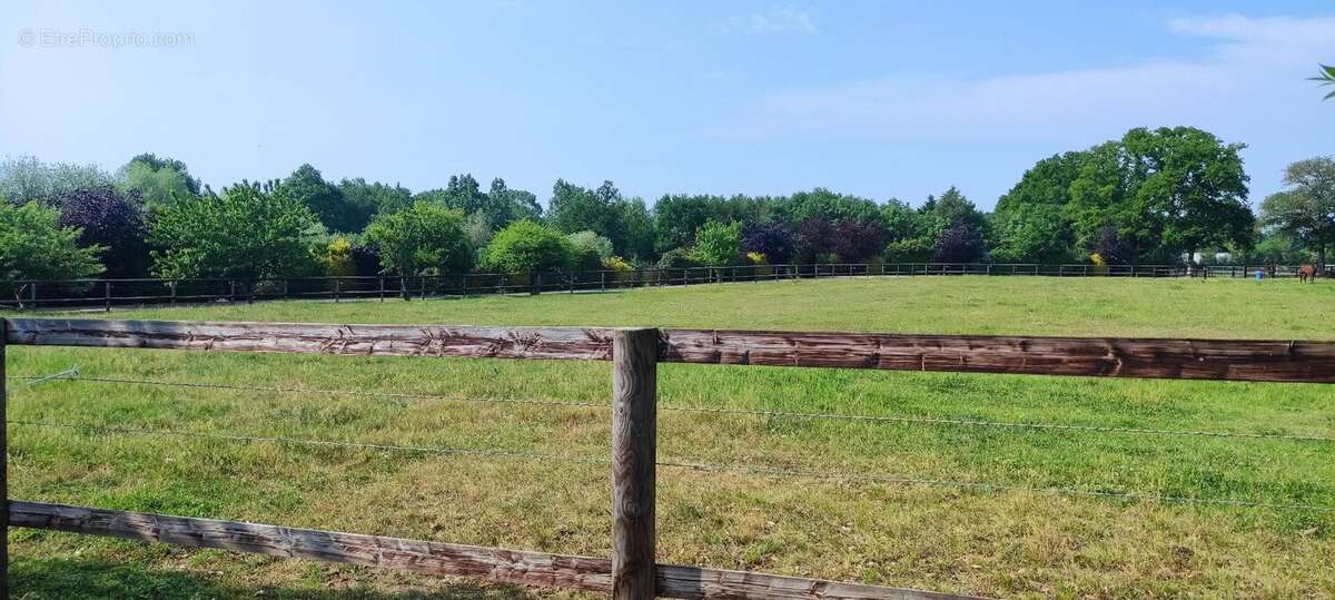 Maison à MEZIDON-CANON