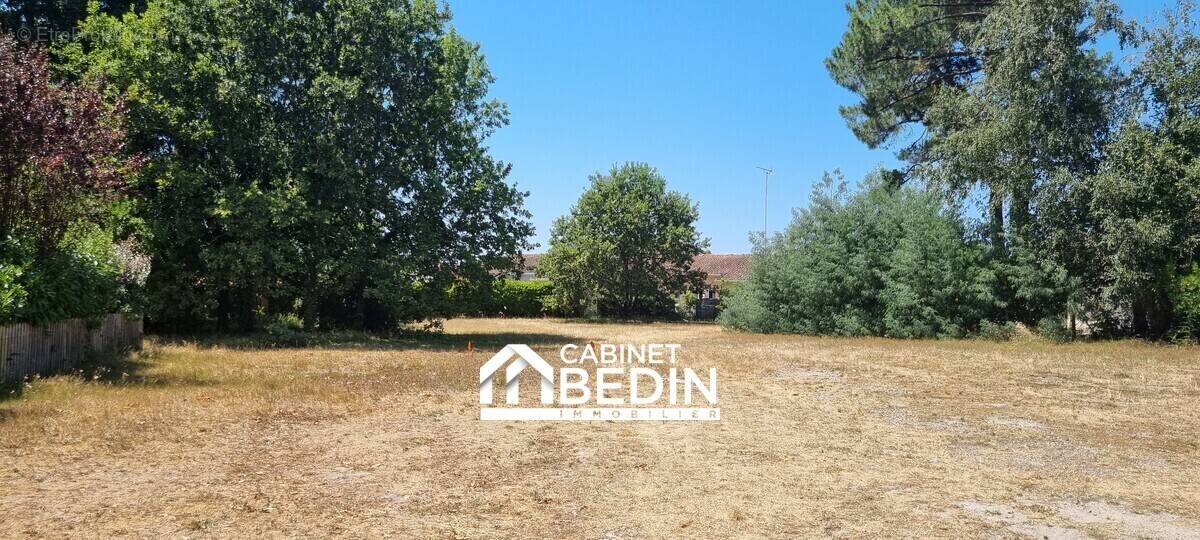 Terrain à BISCARROSSE