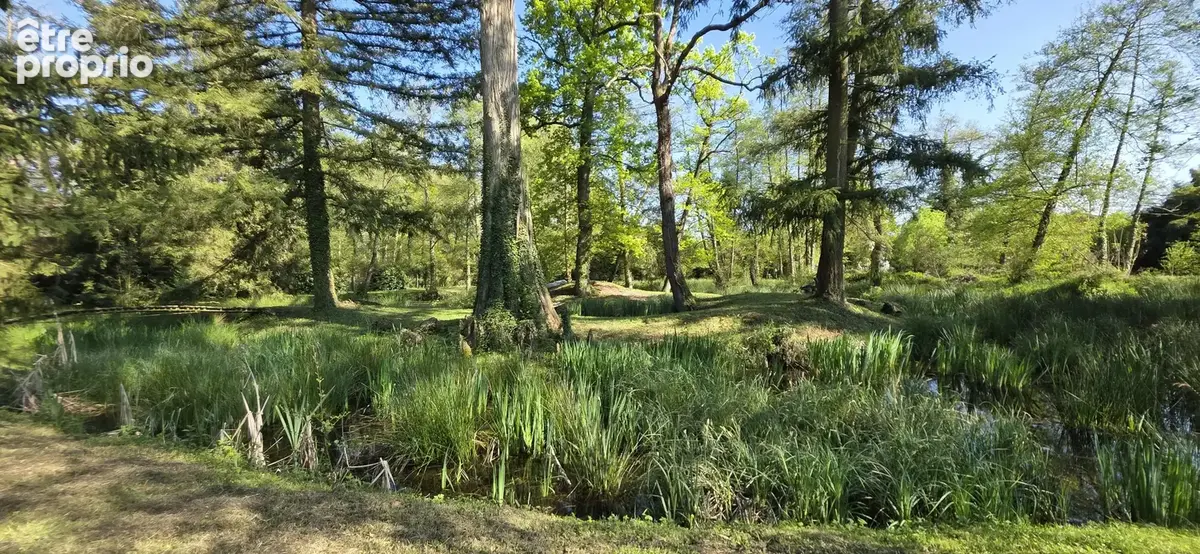 Un Havre de paix entre eau et nature : Longère  de 125 m2 habitables sur 8 600 m² de terrain entièrement clôtu - photo 12