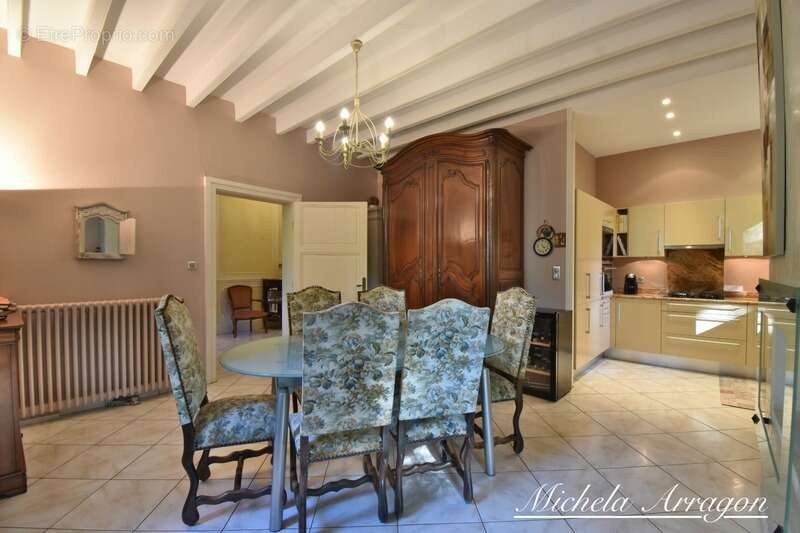 Dpt Lot et Garonne (47), à vendre PINEL HAUTERIVE propriete P6 de 240 m² - Terrain de 21 912,00 m² - photo 7