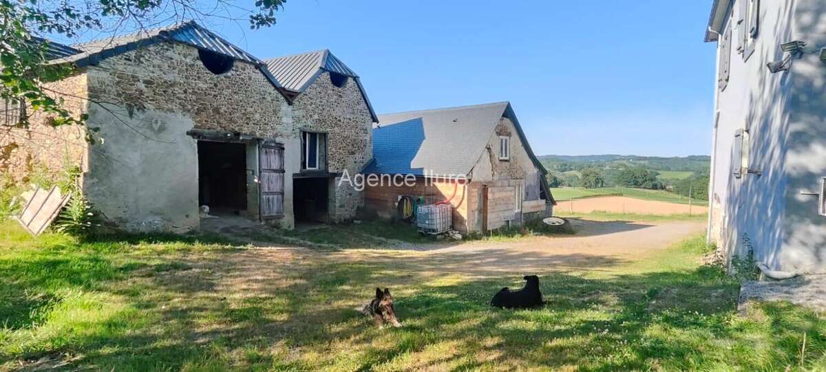 Entre Oloron et Pau -MAGNIFIQUE FERME sur + de  6 Ha de terres libres - photo 2