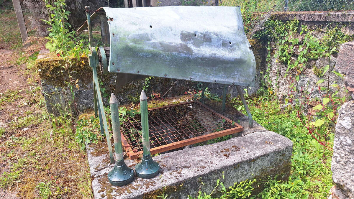 20250612_145231 - Maison à PIEGUT-PLUVIERS