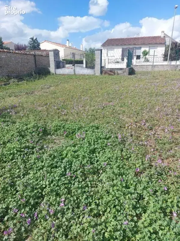 Terrain à vendre de 1 200,00 m² AULNAY (17) - photo 2