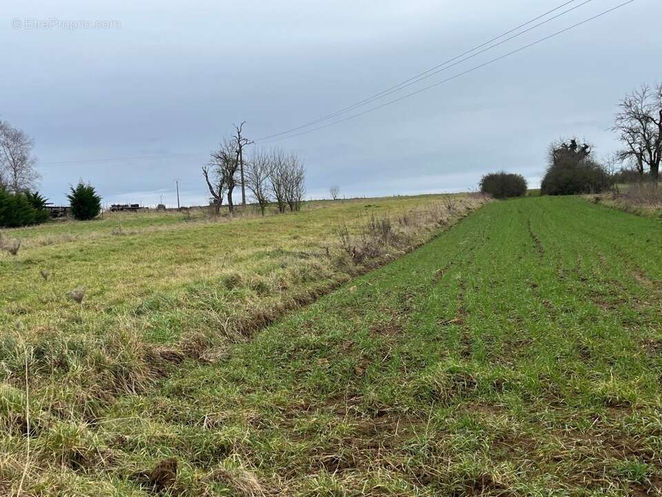 Terrain à ROUSSY-LE-VILLAGE