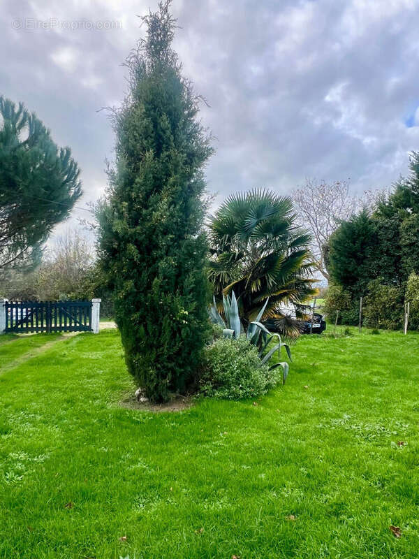 Maison à SAINT-JUST-LUZAC