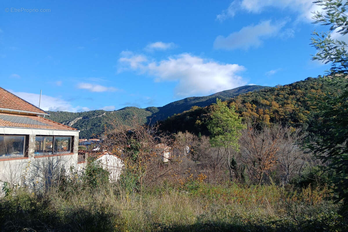 Terrain à AMELIE-LES-BAINS-PALALDA